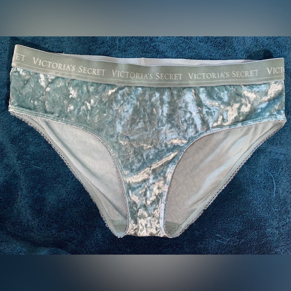 Victoria's Secret Velvet Silver Panties